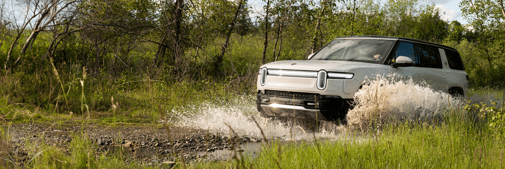 XPEL Paint Protection, Window Film, Ceramic Coating: Transform your Rivian