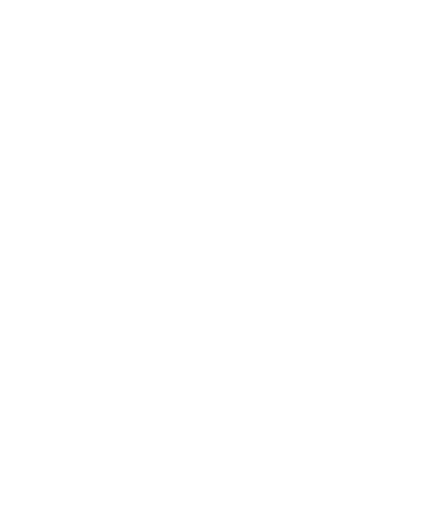Authorized XPEL Dealer Icon