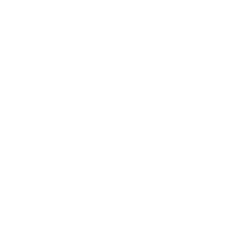 XPEL 10 Year Warranty Badge Icon